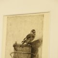 IMG_1500085