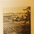 IMG_1500099