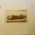 IMG_1500102