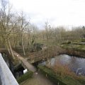 IMG_1500117