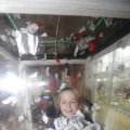 IMG_1500181