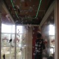 IMG_1500274