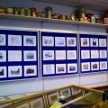 DSC090_16.02.2018