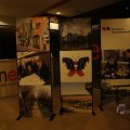 IMG_1504521