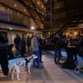 IMG_1504572