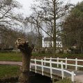 IMG_1506038