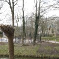 IMG_1506039