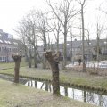 IMG_1506040