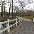IMG_1506041