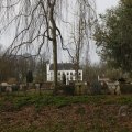 IMG_1506044