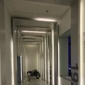IMG_1507825