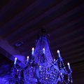 IMG_1508509