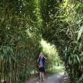 IMG_1527145