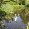 IMG_1527146