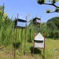 IMG_1527151
