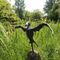 IMG_1527160