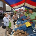 IMG_1532482