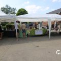 IMG_1532755