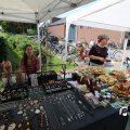 IMG_1532756