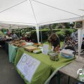 IMG_1532785