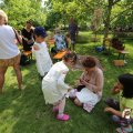 IMG_1532831