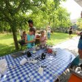 IMG_1532837