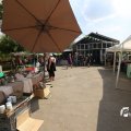 IMG_1532842