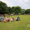 IMG_1532994