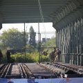 IMG_1550464