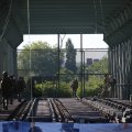 IMG_1550469