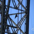 IMG_1550508