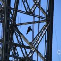 IMG_1550509