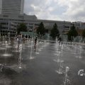 IMG_1534941