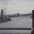 IMG_1535231