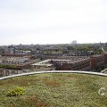 IMG_1535521