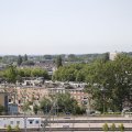 IMG_1535544