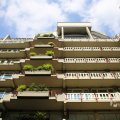 IMG_1535569