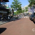 IMG_1535606