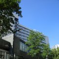 IMG_1535617