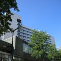 IMG_1535618