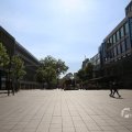 IMG_1535630