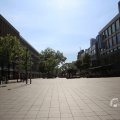 IMG_1535631