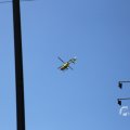 IMG_1535773