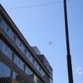 IMG_1535774