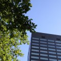 IMG_1535785