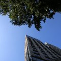 IMG_1535796