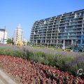 IMG_1535831
