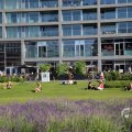 IMG_1535833