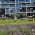 IMG_1535835