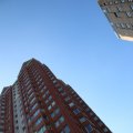 IMG_1535848